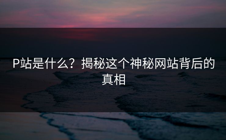 P站是什么？揭秘这个神秘网站背后的真相  第1张